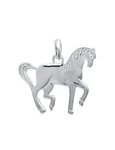 Pendentif Argent 925 Rhodié...