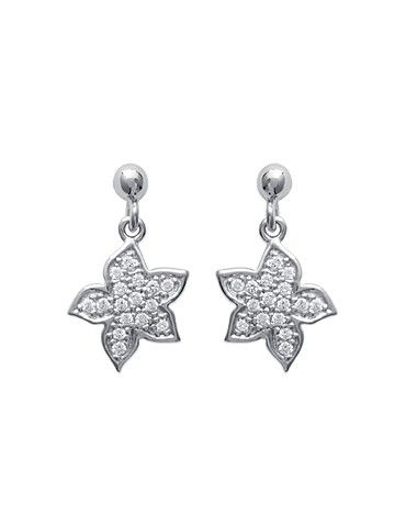 Boucles D'Oreilles Argent...